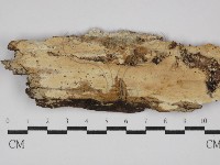 登錄號:F0029828藏品圖，第1張