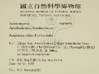 登錄號:F0029830藏品圖，第2張