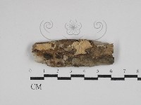 登錄號:F0029830藏品圖，第1張