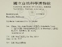 登錄號:F0029831藏品圖，第2張