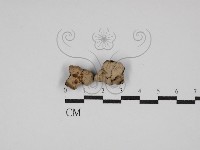 登錄號:F0029831藏品圖，第1張