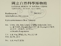 登錄號:F0029832藏品圖，第2張