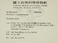 登錄號:F0029834藏品圖，第2張