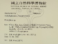 筍殼菌屬藏品圖，第2張