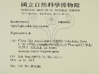 絲齒菌屬藏品圖，第2張