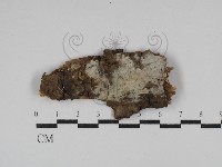 登錄號:F0029837藏品圖，第1張