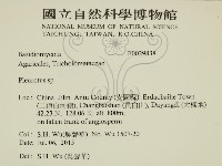 登錄號:F0029838藏品圖，第2張