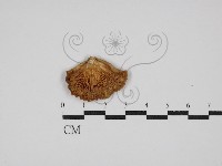 登錄號:F0029838藏品圖，第3張