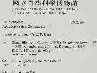 登錄號:F0029839藏品圖，第2張