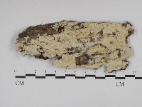 登錄號:F0029839藏品圖，第1張