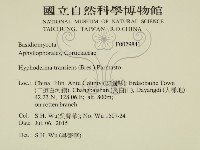 登錄號:F0029841藏品圖，第2張