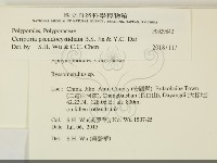 登錄號:F0029842藏品圖，第2張