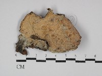 登錄號:F0029843藏品圖，第1張