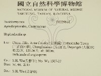 絲齒菌屬藏品圖，第2張