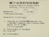 登錄號:F0029845藏品圖，第2張