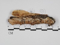 登錄號:F0029845藏品圖，第1張