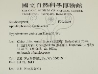 登錄號:F0029846藏品圖，第2張