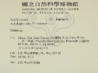 登錄號:F0029847藏品圖，第2張