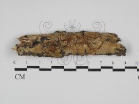 登錄號:F0029847藏品圖，第1張