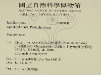 筍殼菌屬藏品圖，第2張