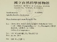 登錄號:F0029849藏品圖，第2張