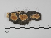 登錄號:F0029851藏品圖，第1張