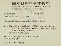 登錄號:F0029853藏品圖，第2張