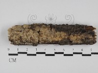 登錄號:F0029853藏品圖，第1張