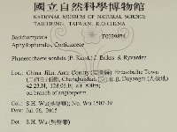 登錄號:F0029854藏品圖，第2張