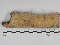 登錄號:F0029854藏品圖，第1張