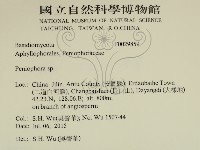 筍殼菌屬藏品圖，第2張