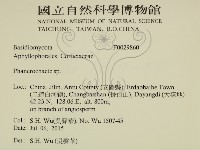 顯絲菌屬藏品圖，第2張