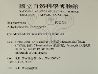 登錄號:F0029861藏品圖，第2張