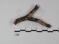 登錄號:F0029861藏品圖，第1張