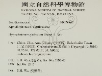 登錄號:F0029862藏品圖，第2張