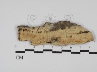 登錄號:F0029862藏品圖，第1張