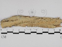 登錄號:F0029864藏品圖，第1張