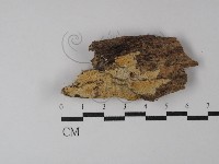 登錄號:F0029865藏品圖，第1張