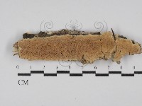 登錄號:F0029867藏品圖，第1張
