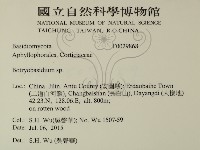 登錄號:F0029868藏品圖，第2張