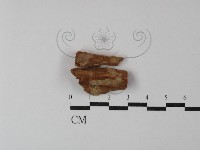 登錄號:F0029868藏品圖，第1張