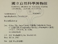 登錄號:F0029870藏品圖，第2張