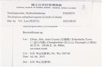 登錄號:F0029870藏品圖，第3張