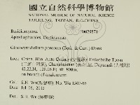 登錄號:F0029871藏品圖，第2張