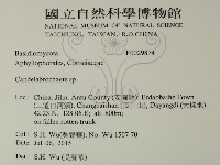 登錄號:F0029874藏品圖，第2張