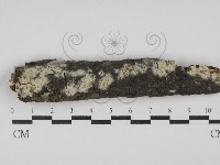 登錄號:F0029876藏品圖，第1張