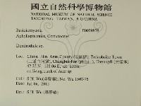 登錄號:F0029878藏品圖，第2張