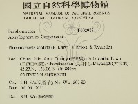 登錄號:F0029881藏品圖，第2張