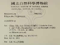 登錄號:F0029882藏品圖，第2張