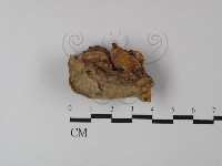 登錄號:F0029882藏品圖，第1張